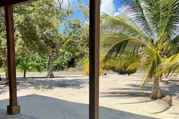 looking out toward the road