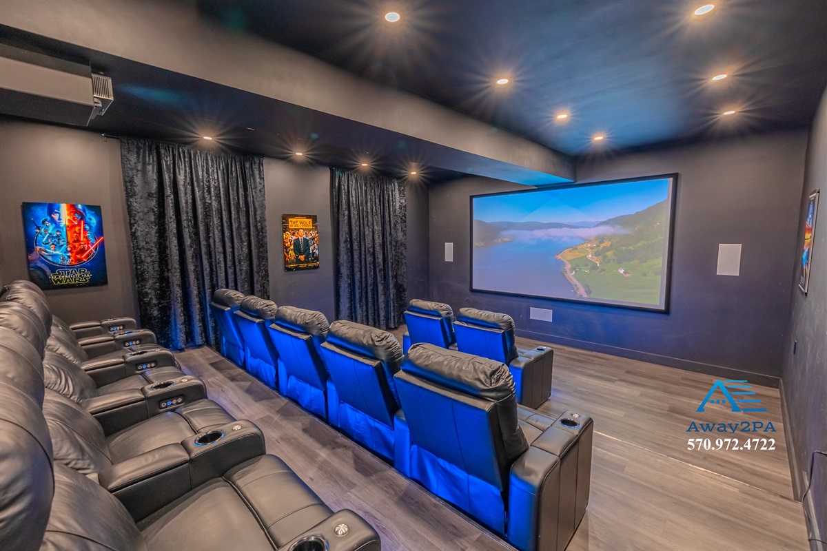 Professional grade movie theater