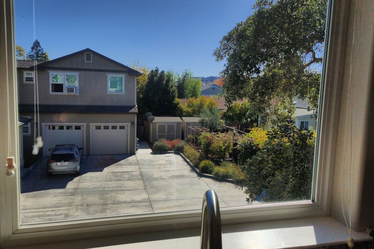 View from Kitchen / living room