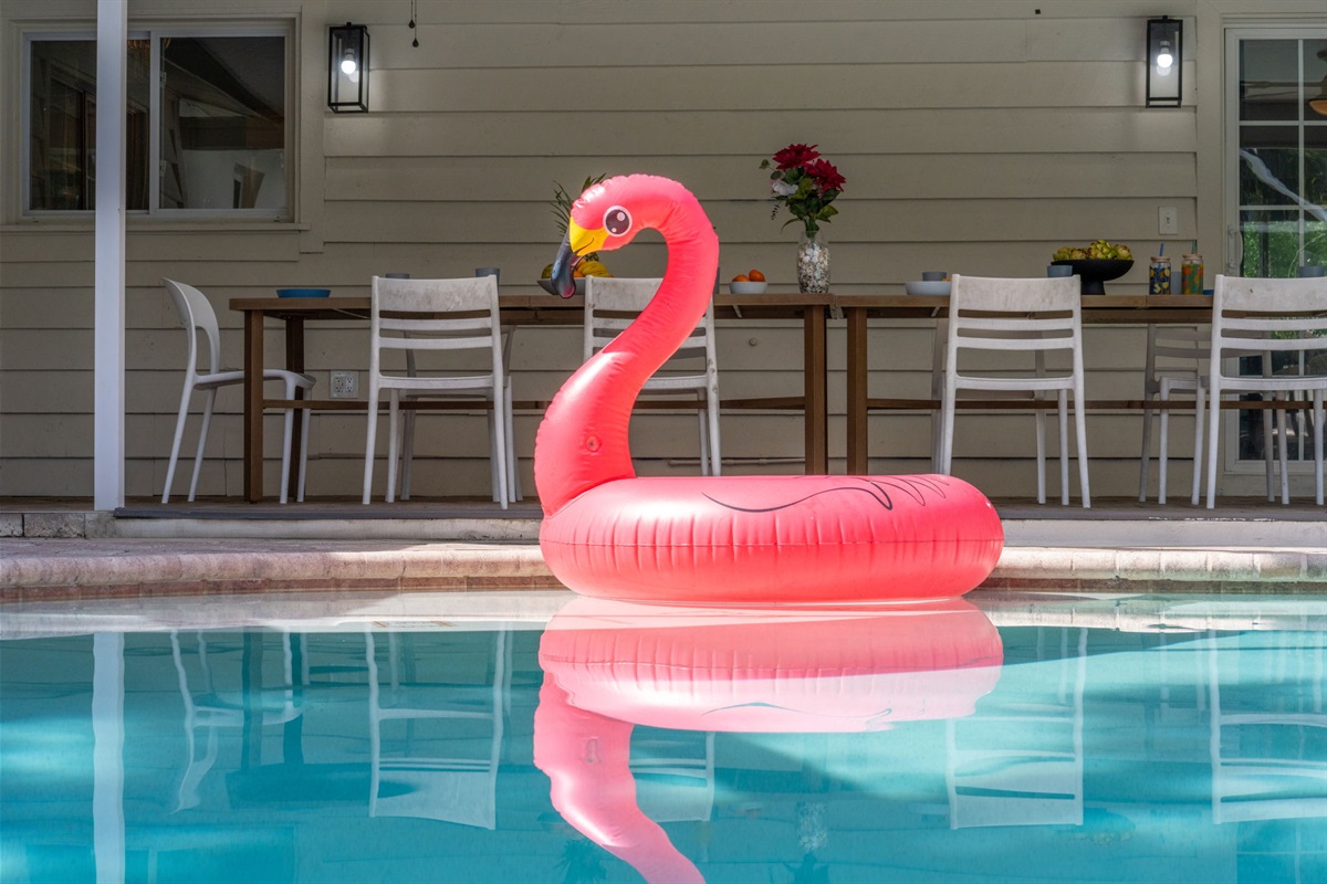 Lounge chairs and open deck space ideal for sunbathing or poolside reading.