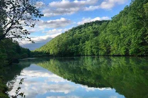 If you love the water, you must visit beautiful South Holston Lake - it's only 20 minutes away!