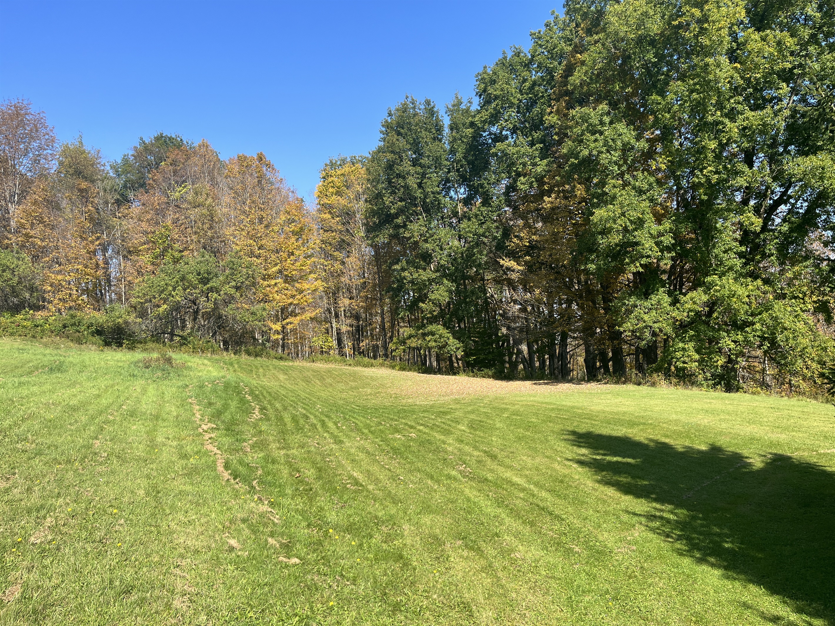 Backyard area at Casa Vista