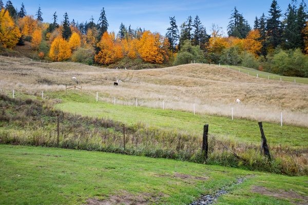 Pasture View from Porch