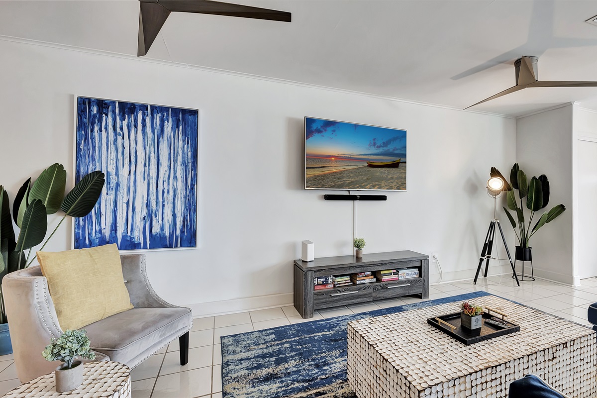 Flat screen TV with Netflix