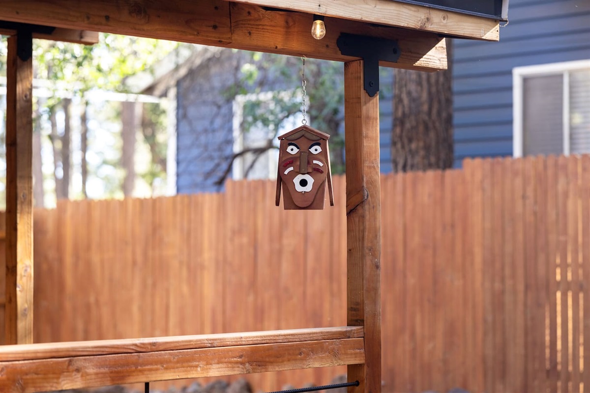 Yes, we are goofy. But this birdhouse is cool. Try to catch a bird coming out of his mouth. Hilarious!