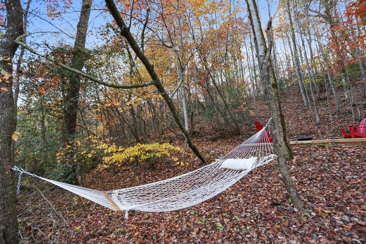 Hammock by the Cove