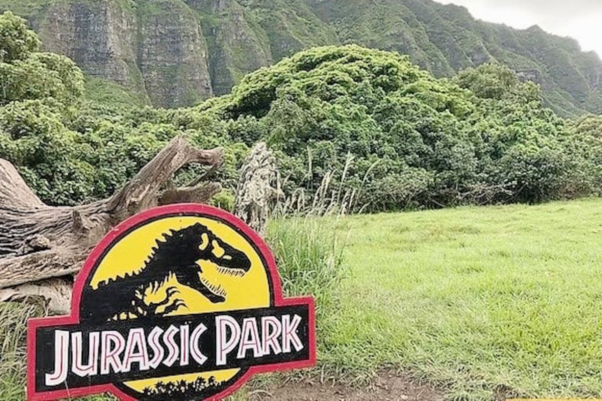 Kualoa Ranch offers Jurassic park tours! So much fun!