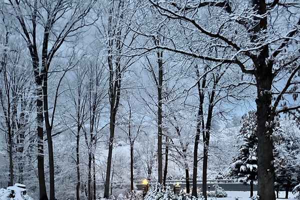 Beautiful Winter Views of Driveway leading to Cottage.