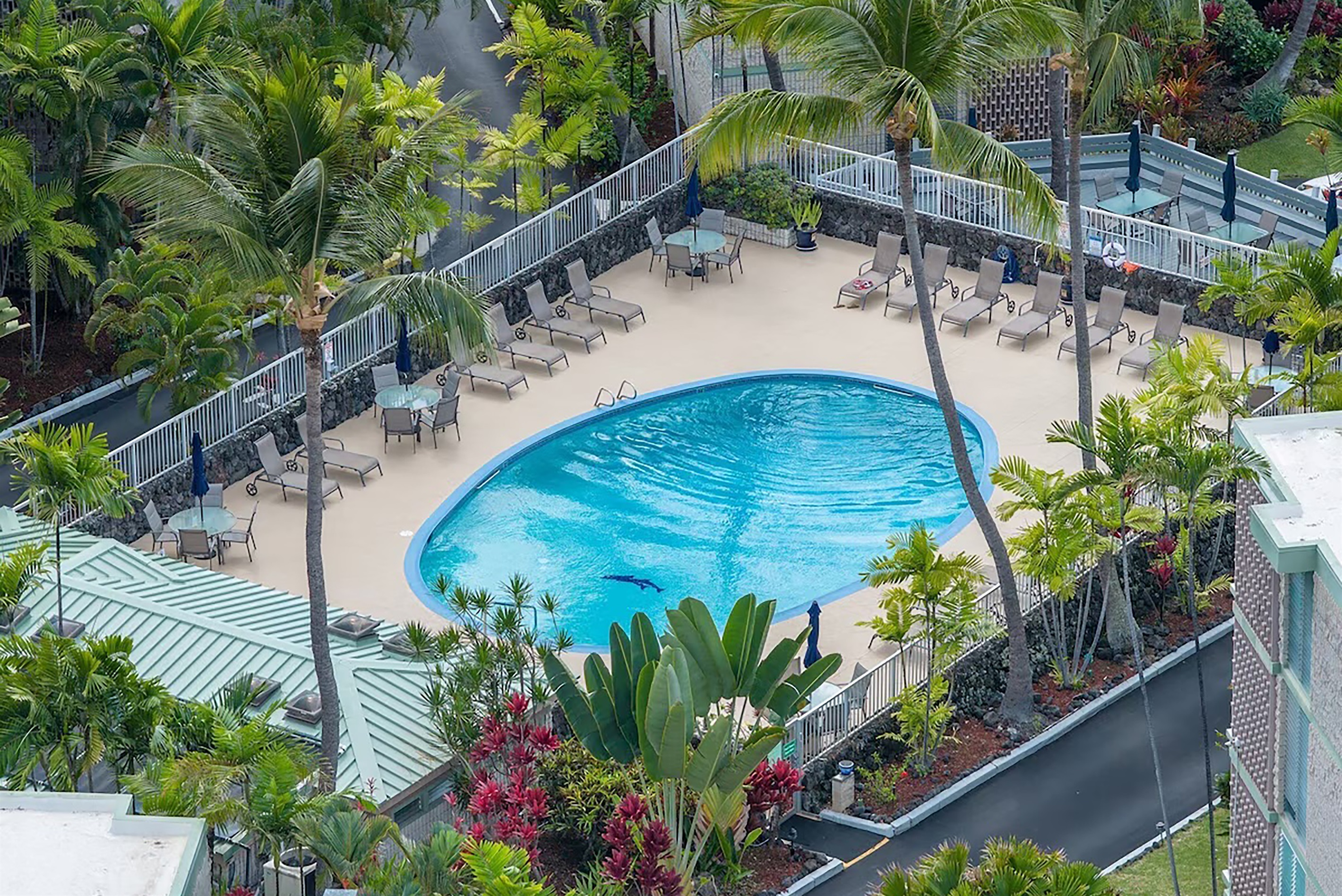 Sun, water, and nowhere to be—just slip into the pool, stretch out under the palms, and let the day unfold at its own pace.