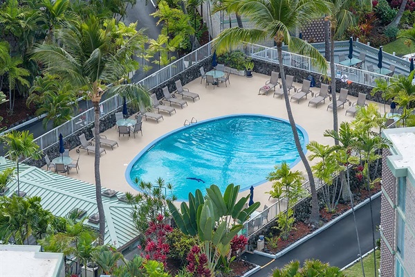 Sun, water, and nowhere to be—just slip into the pool, stretch out under the palms, and let the day unfold at its own pace.
