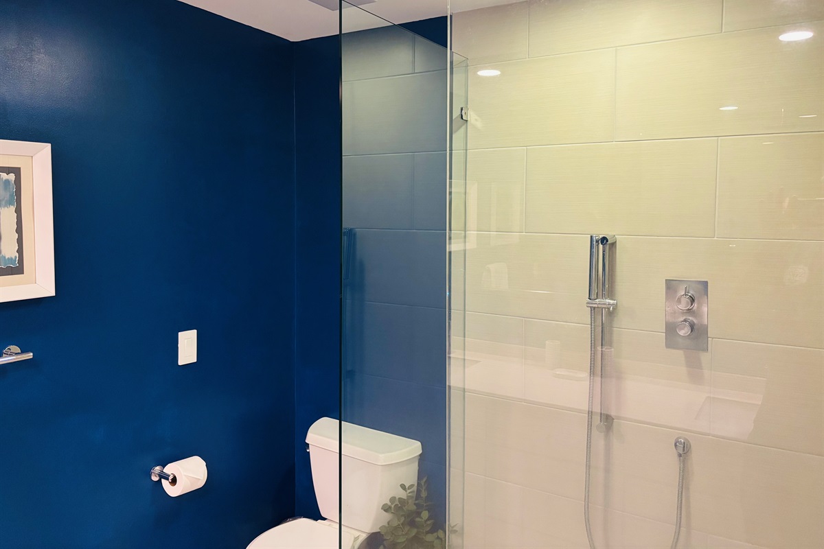 Downstairs queen shower