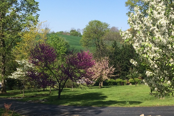 Springtime property views.