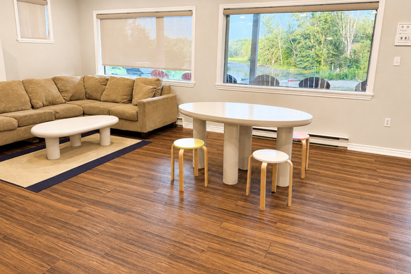 Lower Living Room