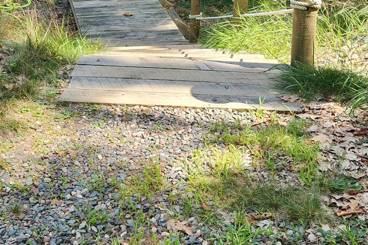 Driveway side of House