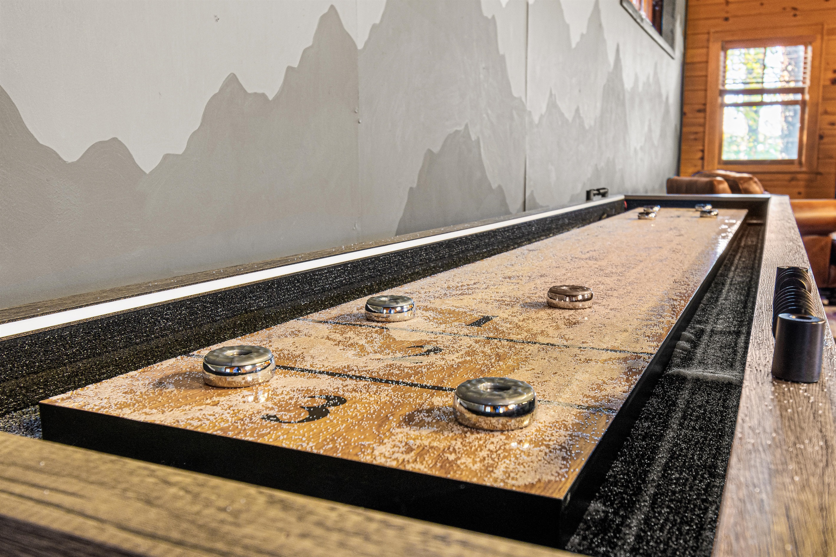 Brand new shuffleboard.