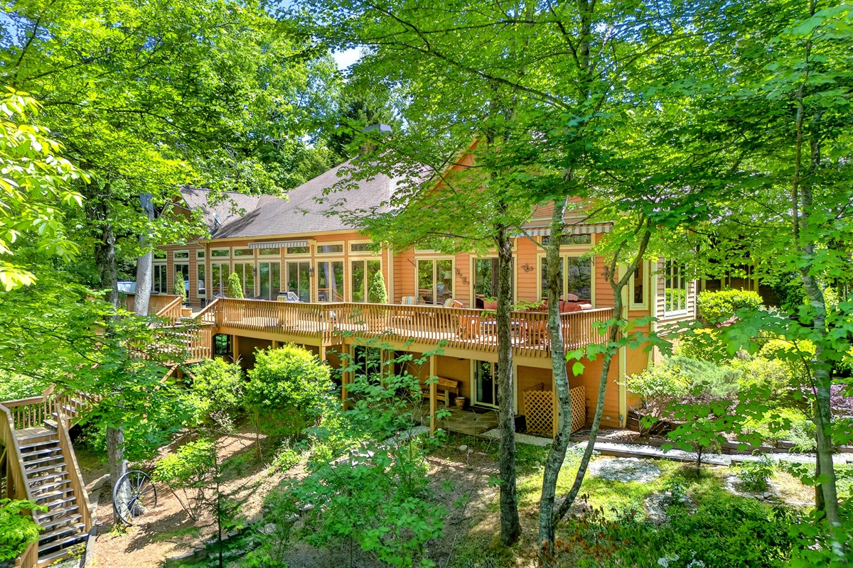 Ariel view behind the home