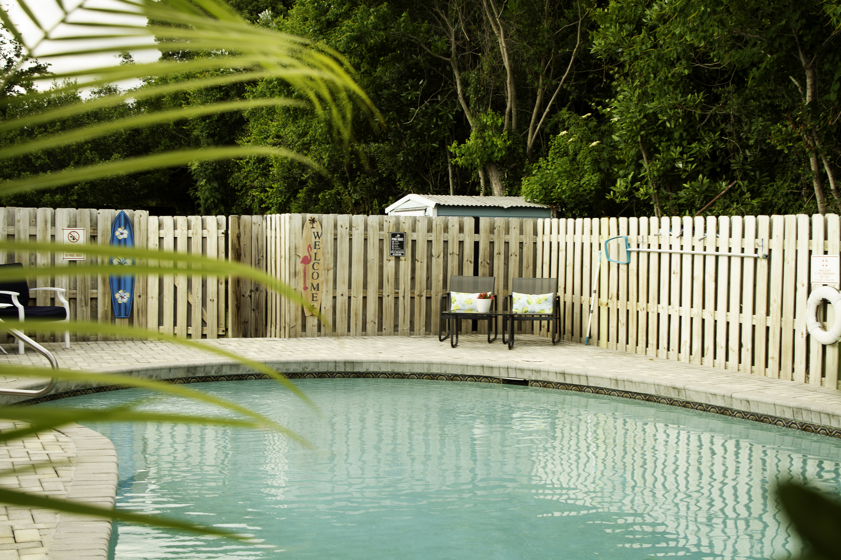 A view from the palms facing the entry gate to the pool