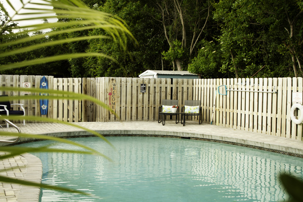 A view from the palms facing the entry gate to the pool