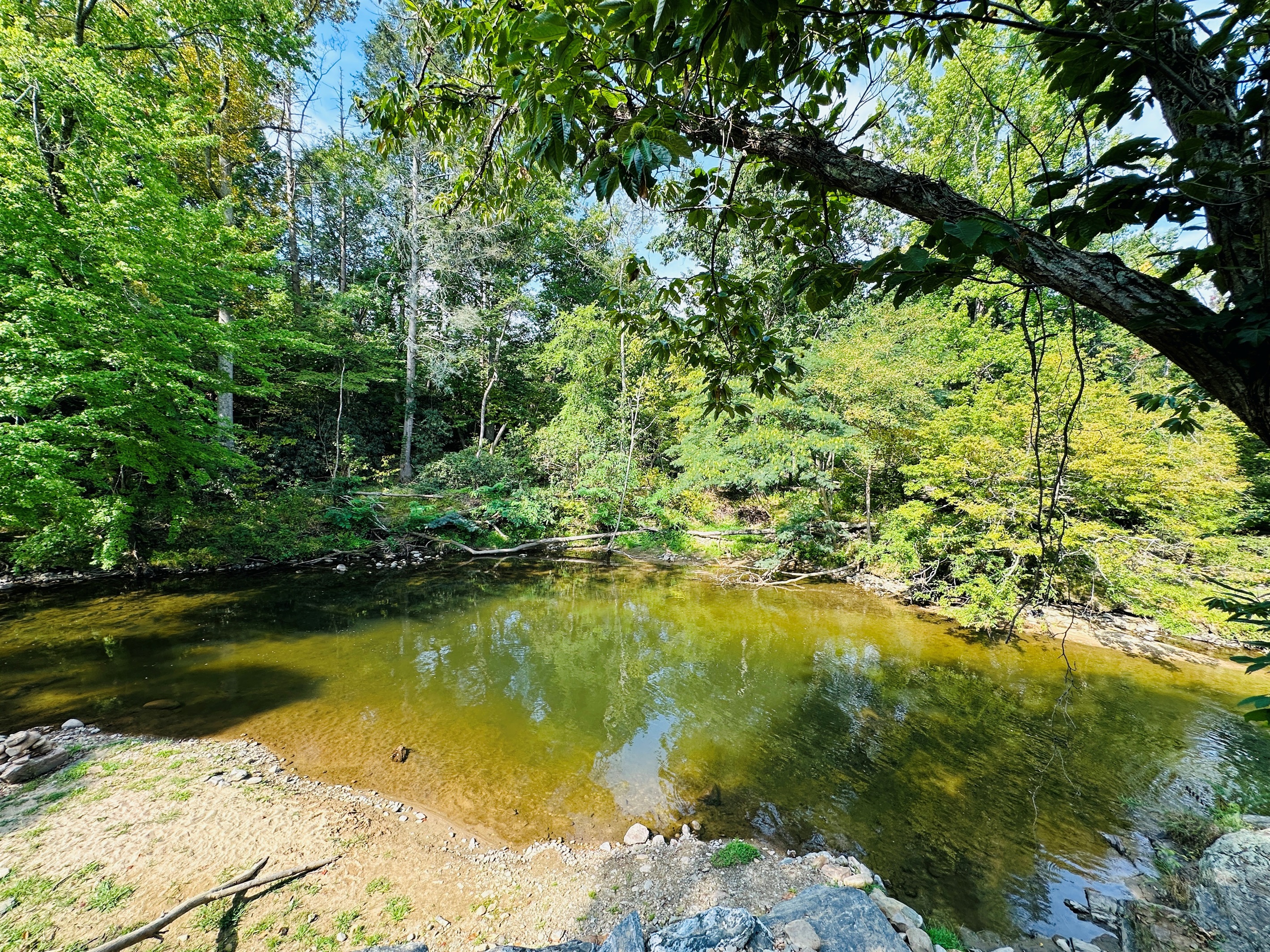 The best swimming hole around