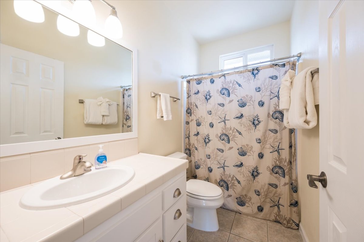 Hall bathroom tub/shower