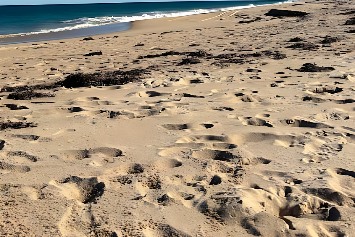 Preston Beach stretches away under a clear sky, with soft sand, gentle surf and a long open shoreline known locally for beach fishing and swimming, around 10 minutes' walk from the house.