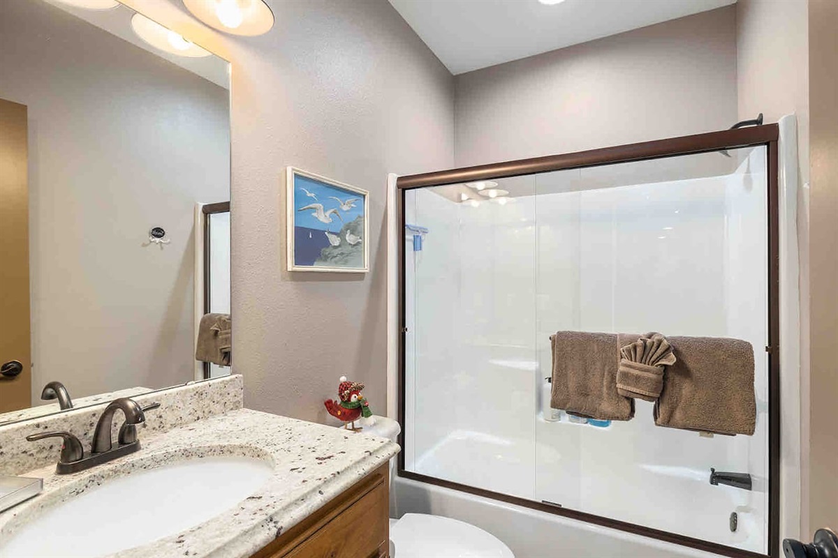 Lower Level Full Bathroom