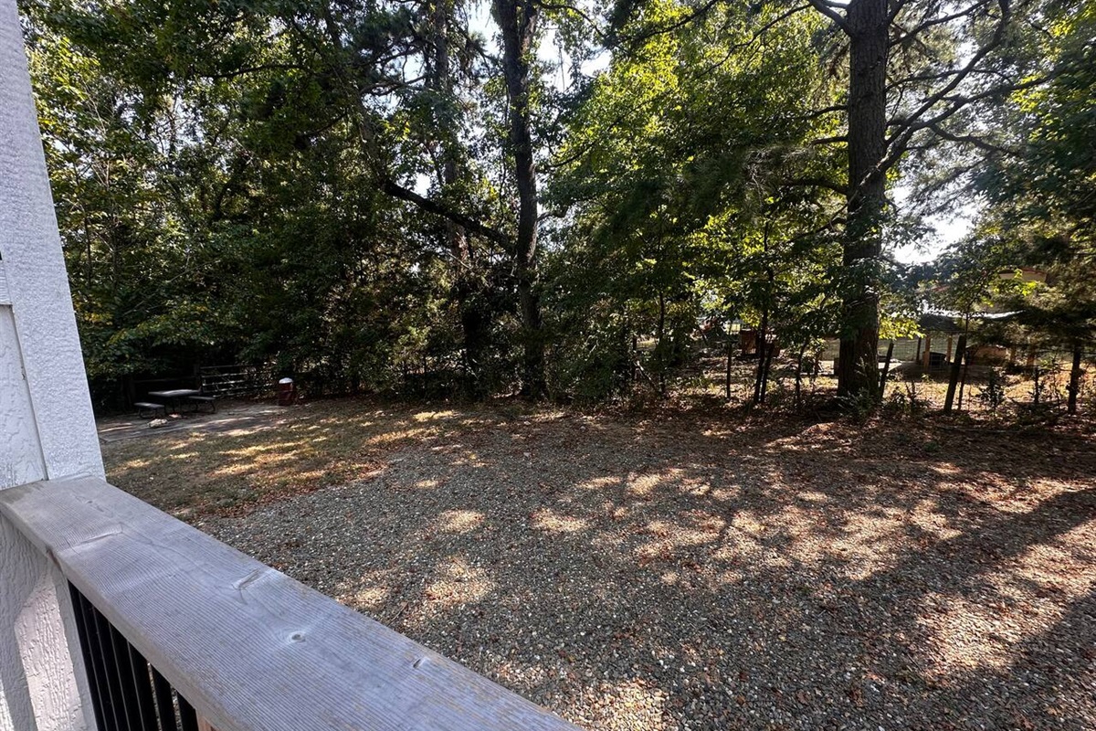 Backyard