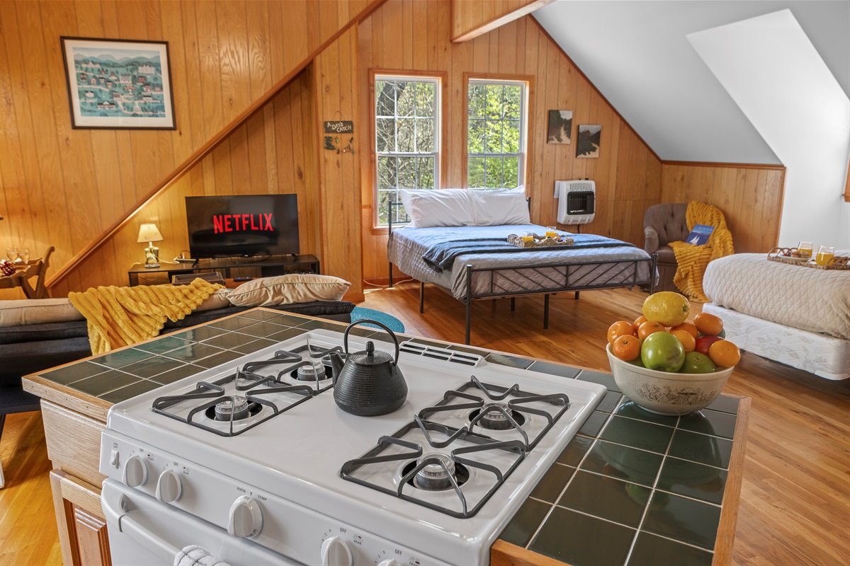 Cottage: Enjoy Netflix nights and stunning views from your mountain getaway!