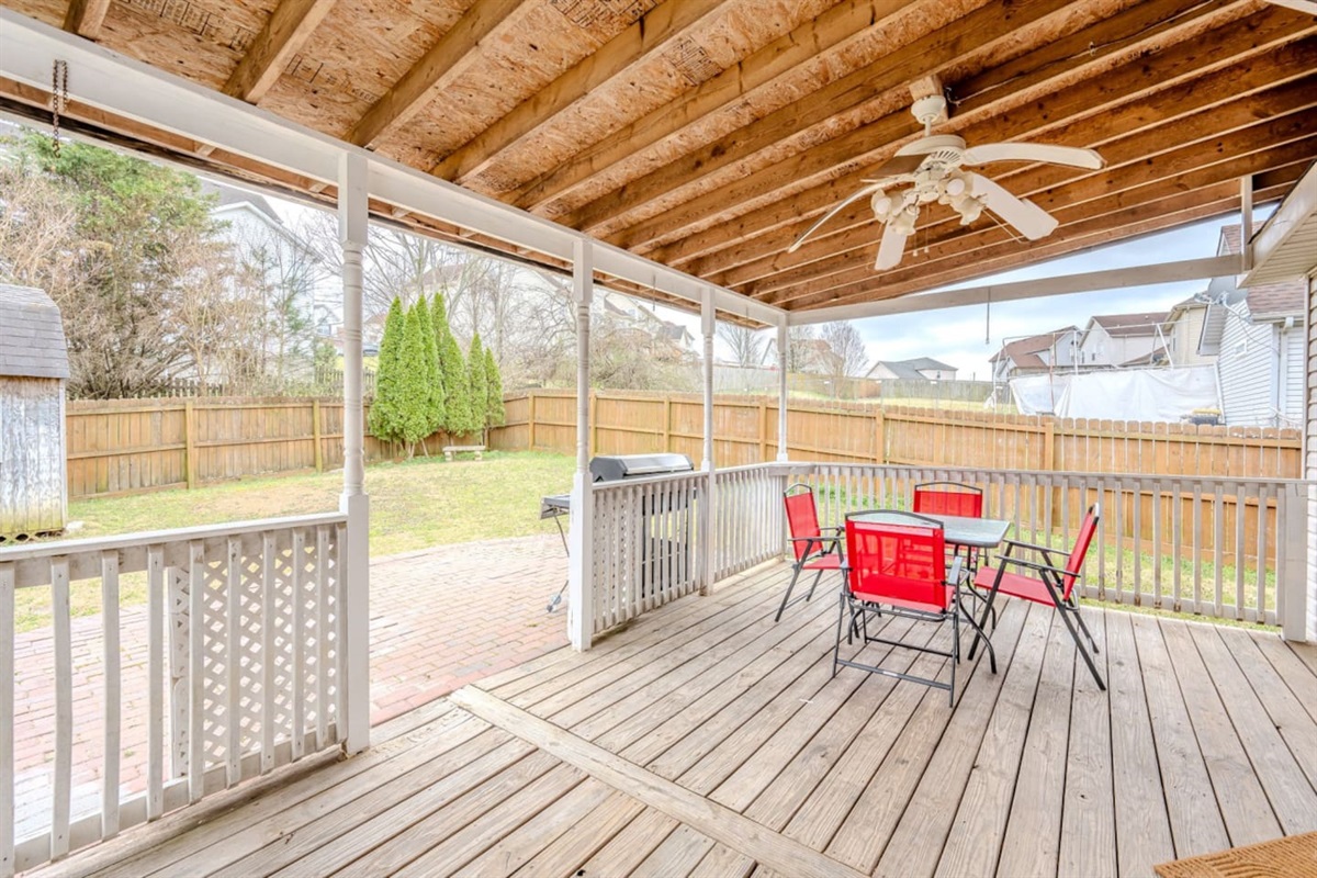 Backyard
