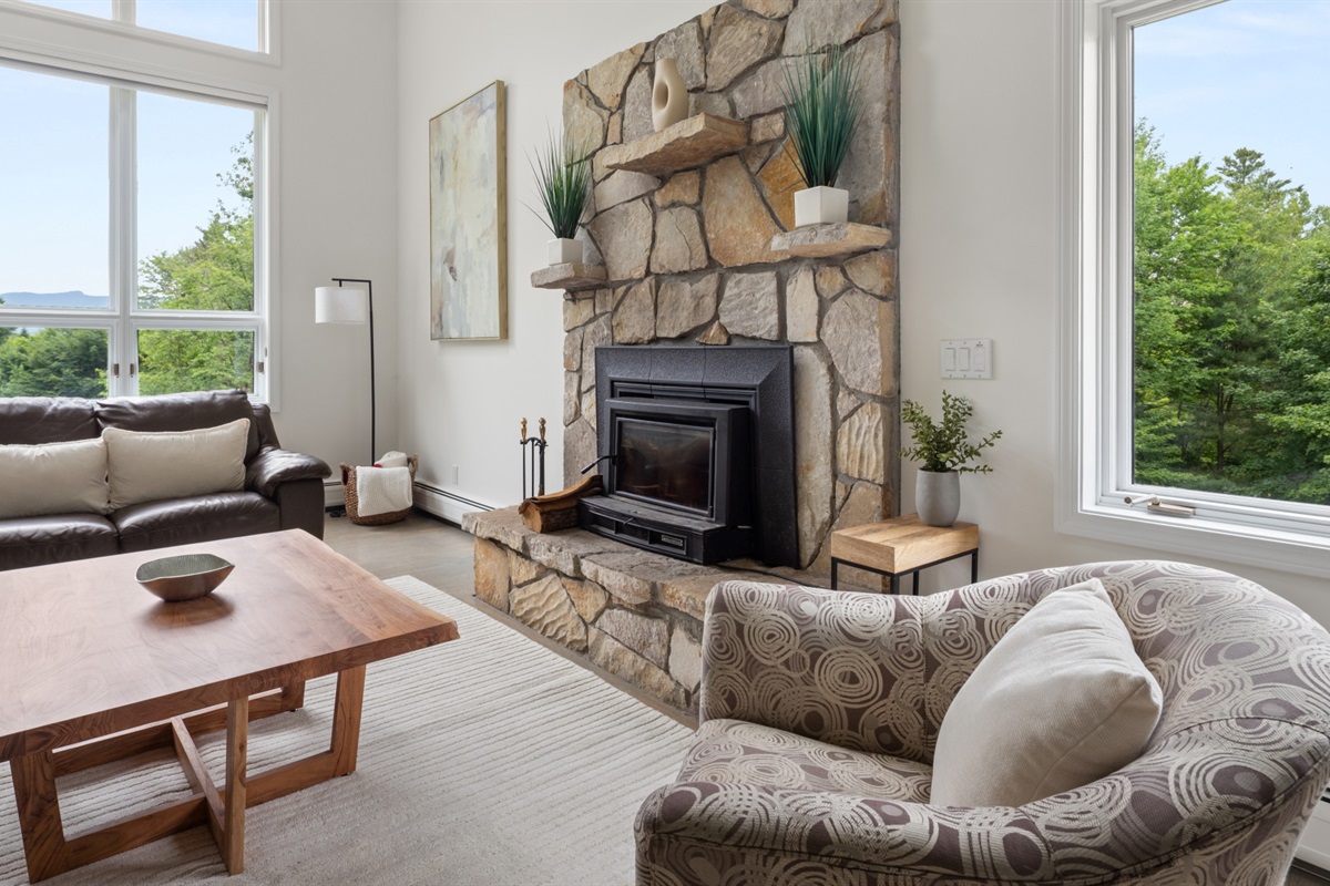 Wood burning fire place
