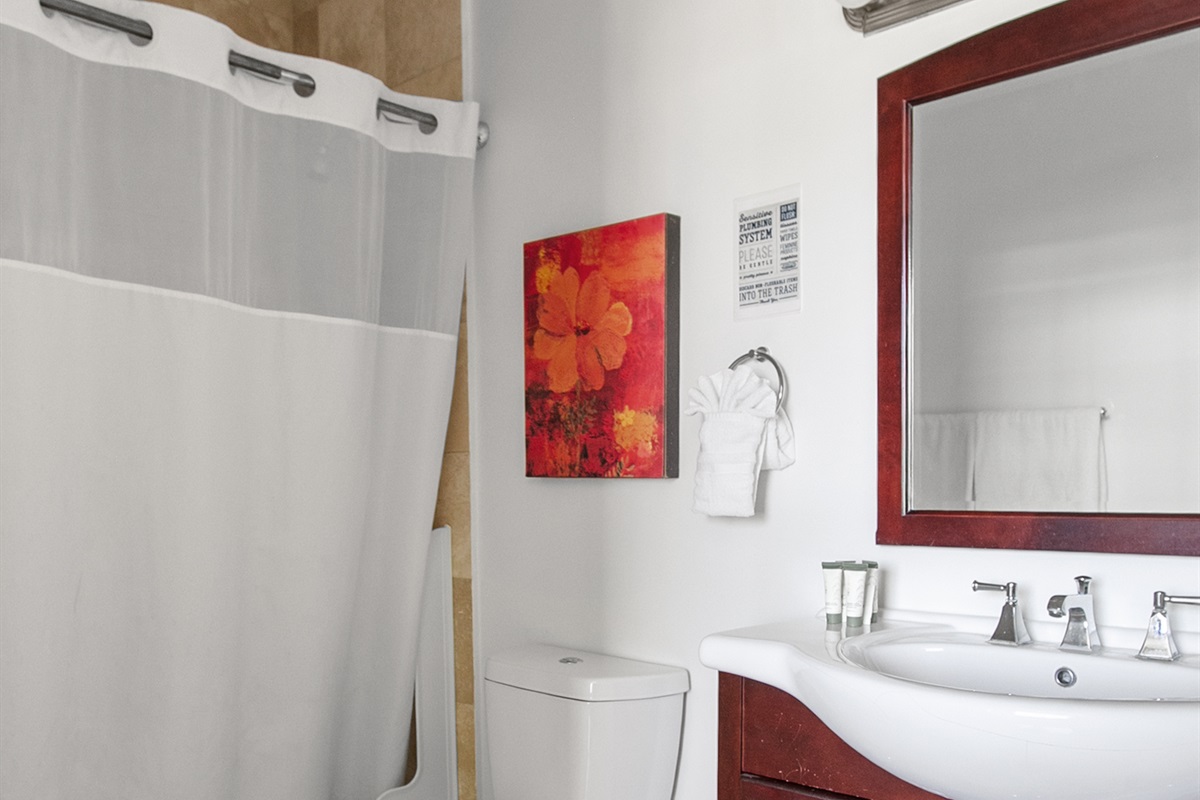 Guest Suite en-suite bath with tub