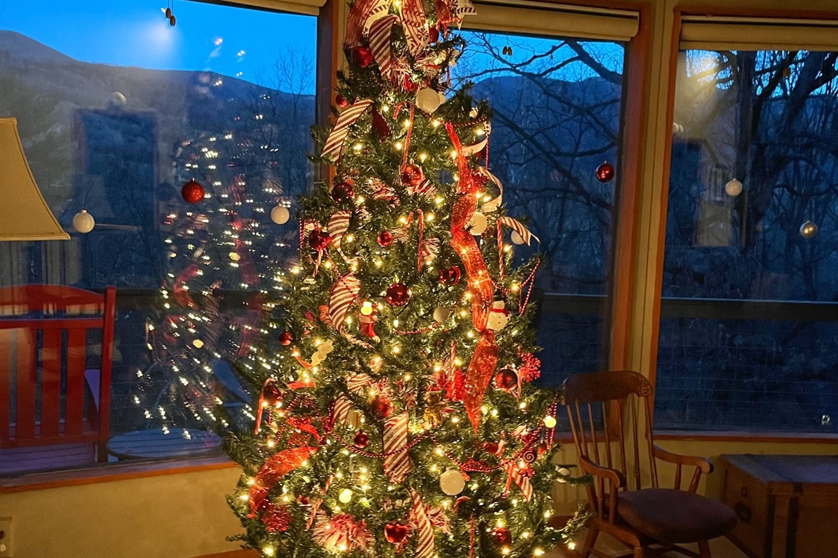 Come enjoy the Christmas Decorations!