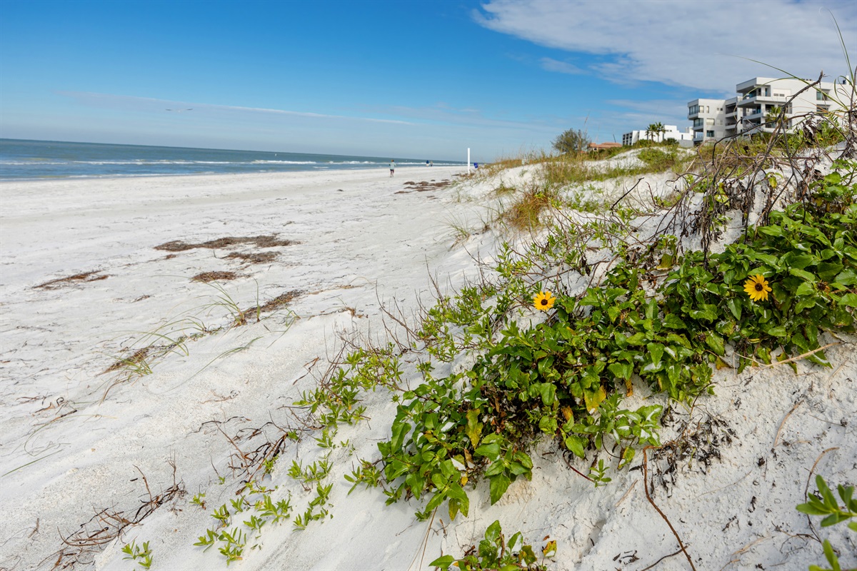 Beautiful Beaches