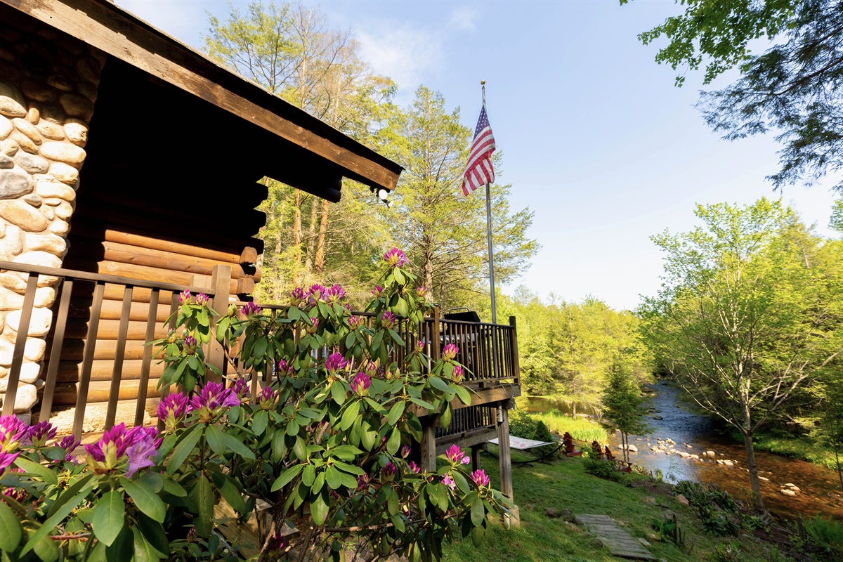 Ready to adventure down to the creek?