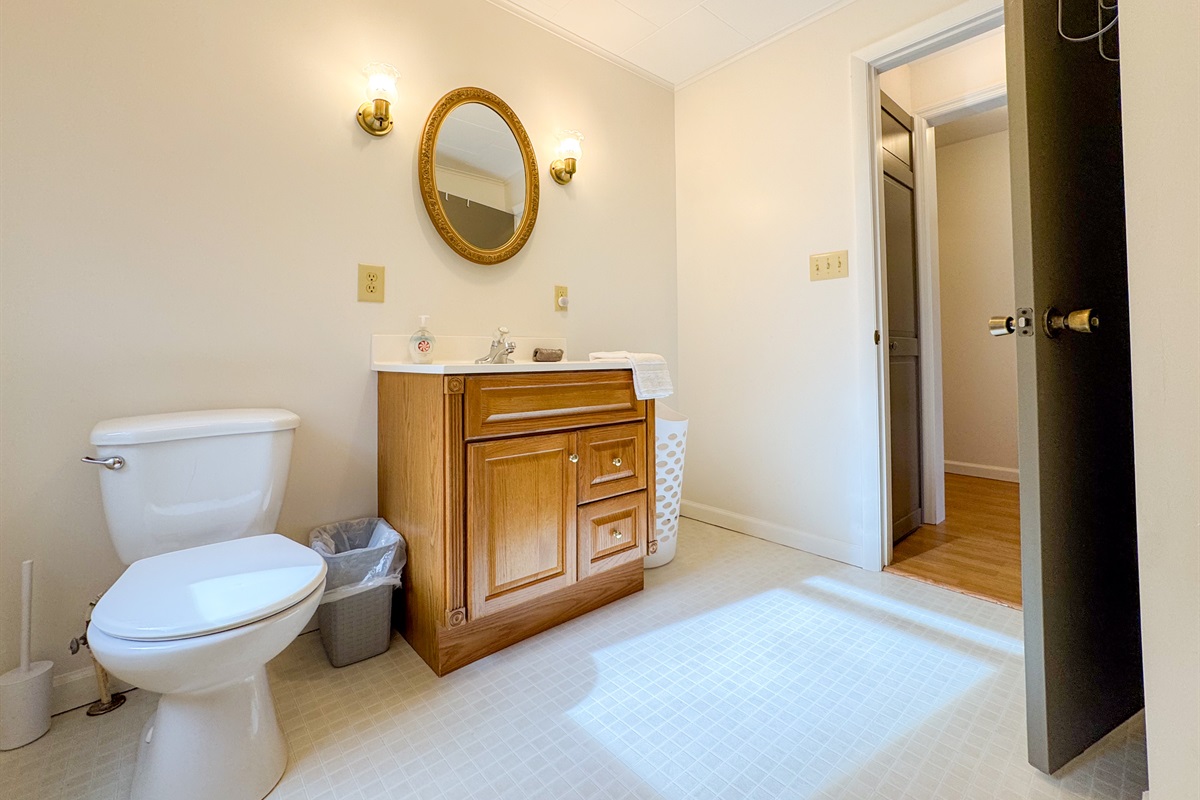 The guest bathroom in the center of the house features a tub/shower combo, toilet, vanity, and our supplied paya organics body wash and shower gel.