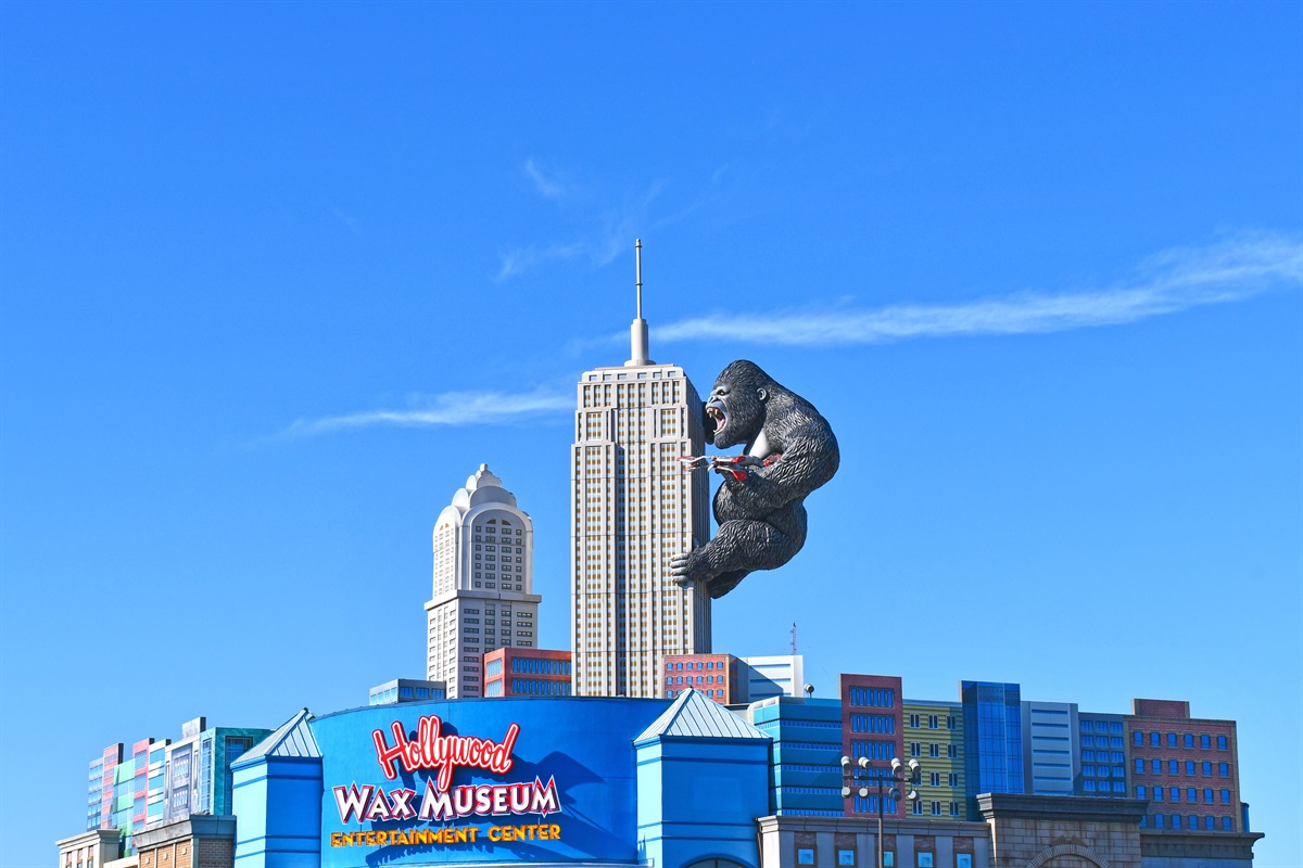 Lots of Entertainment and Dining Nearby!