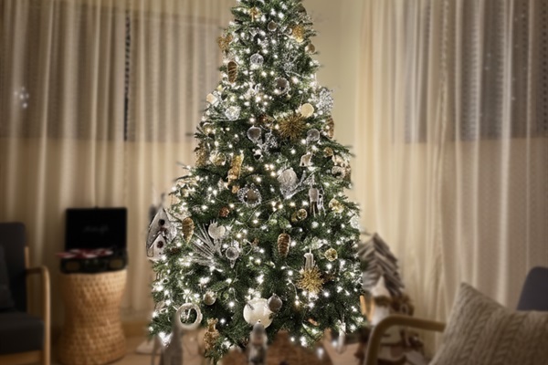 Christmas Decorations - Through New Years!