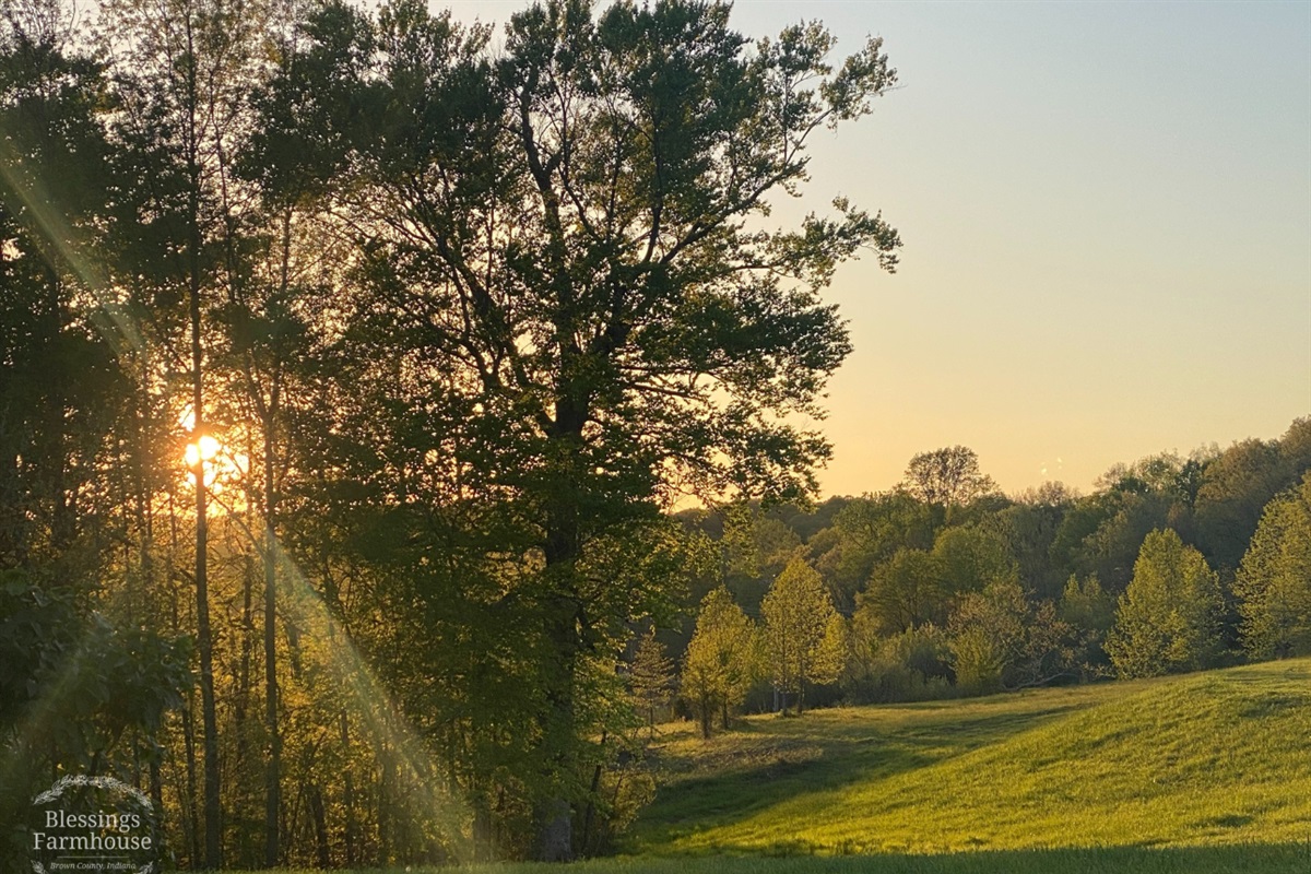 The Farmhouse sits on a ridge with beautiful views every direction!