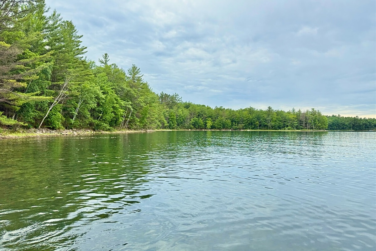View from the dock of adjacent state forest land