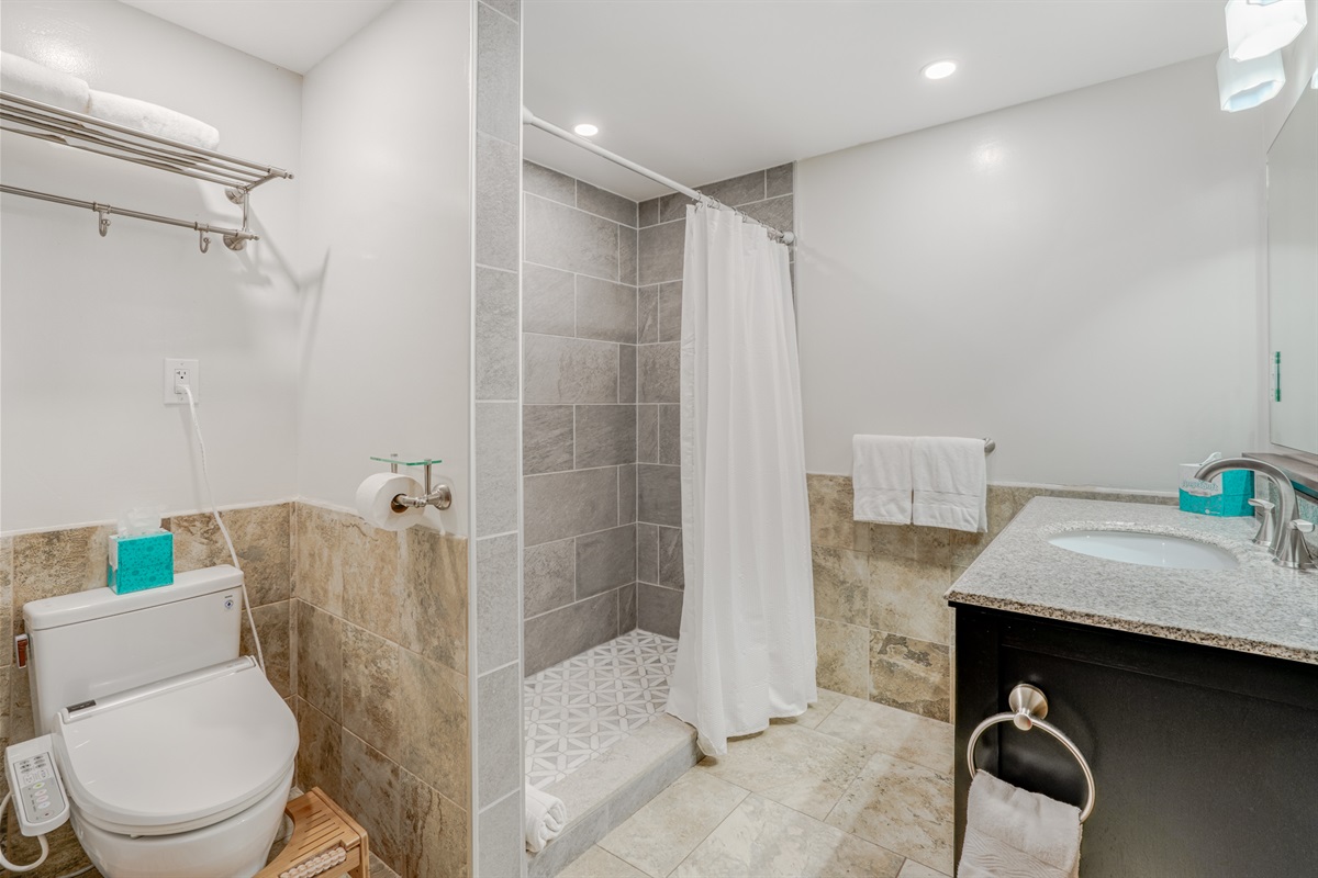 Bidet with renovated bathroom