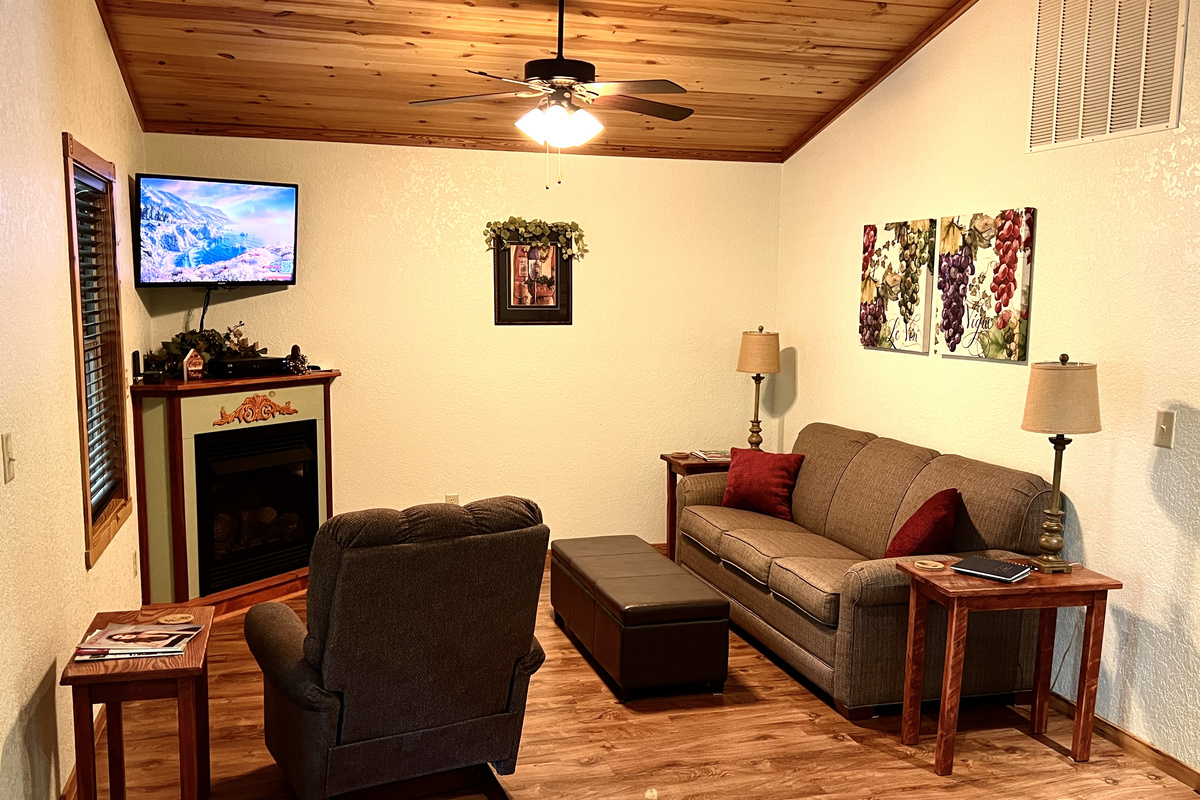Living room with fireplace, sleeper sofa and recliner.