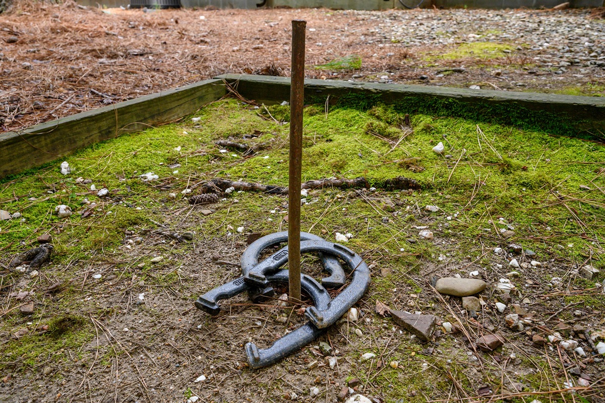 Horseshoes off the hot tub area.