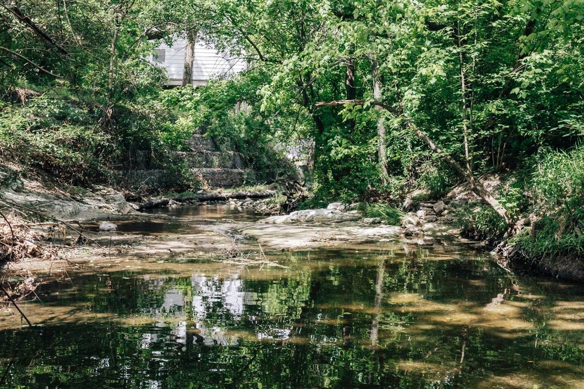 enjoy some zen time by the creek and in the woods by the house
