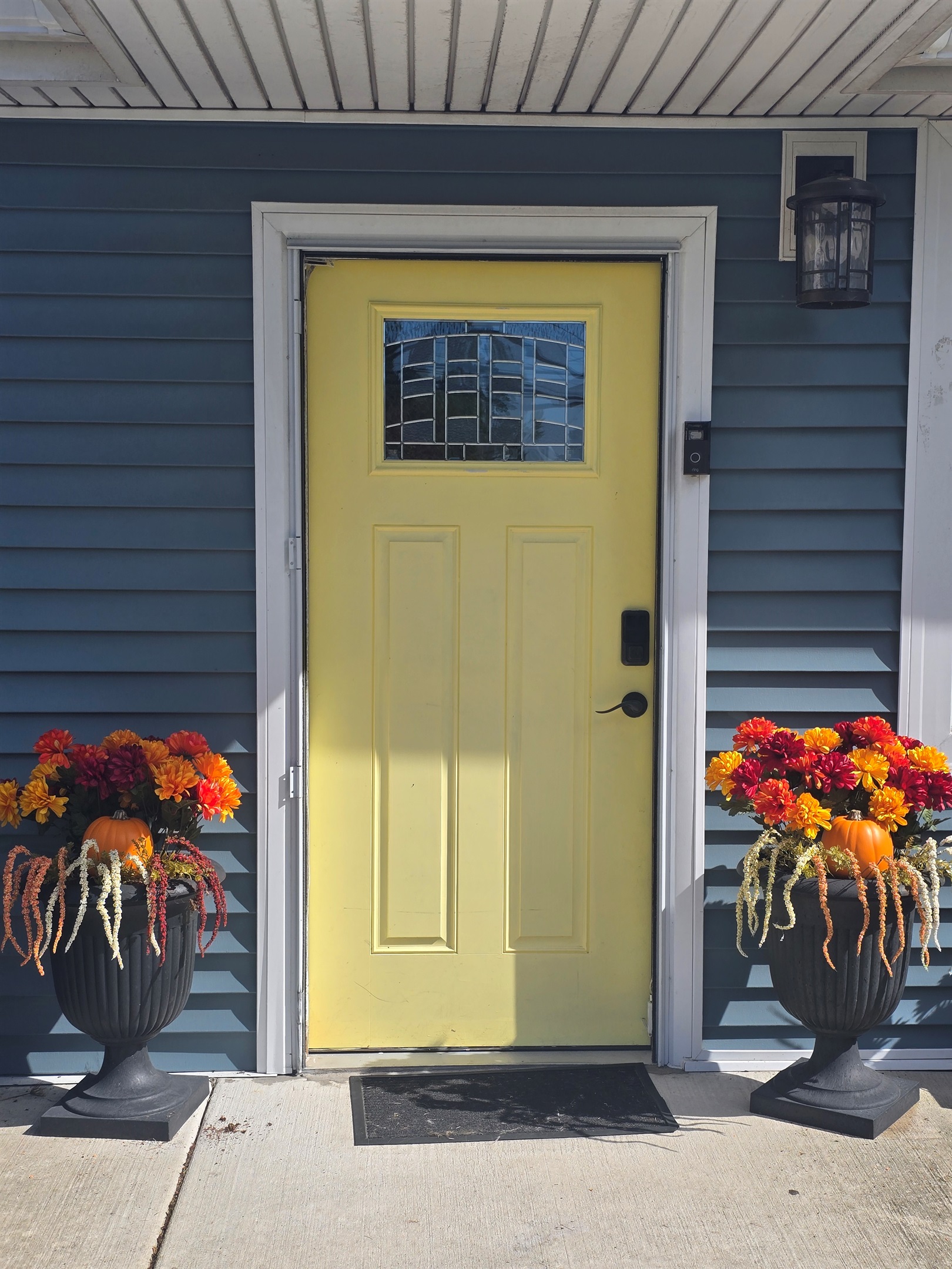Fall Vibes