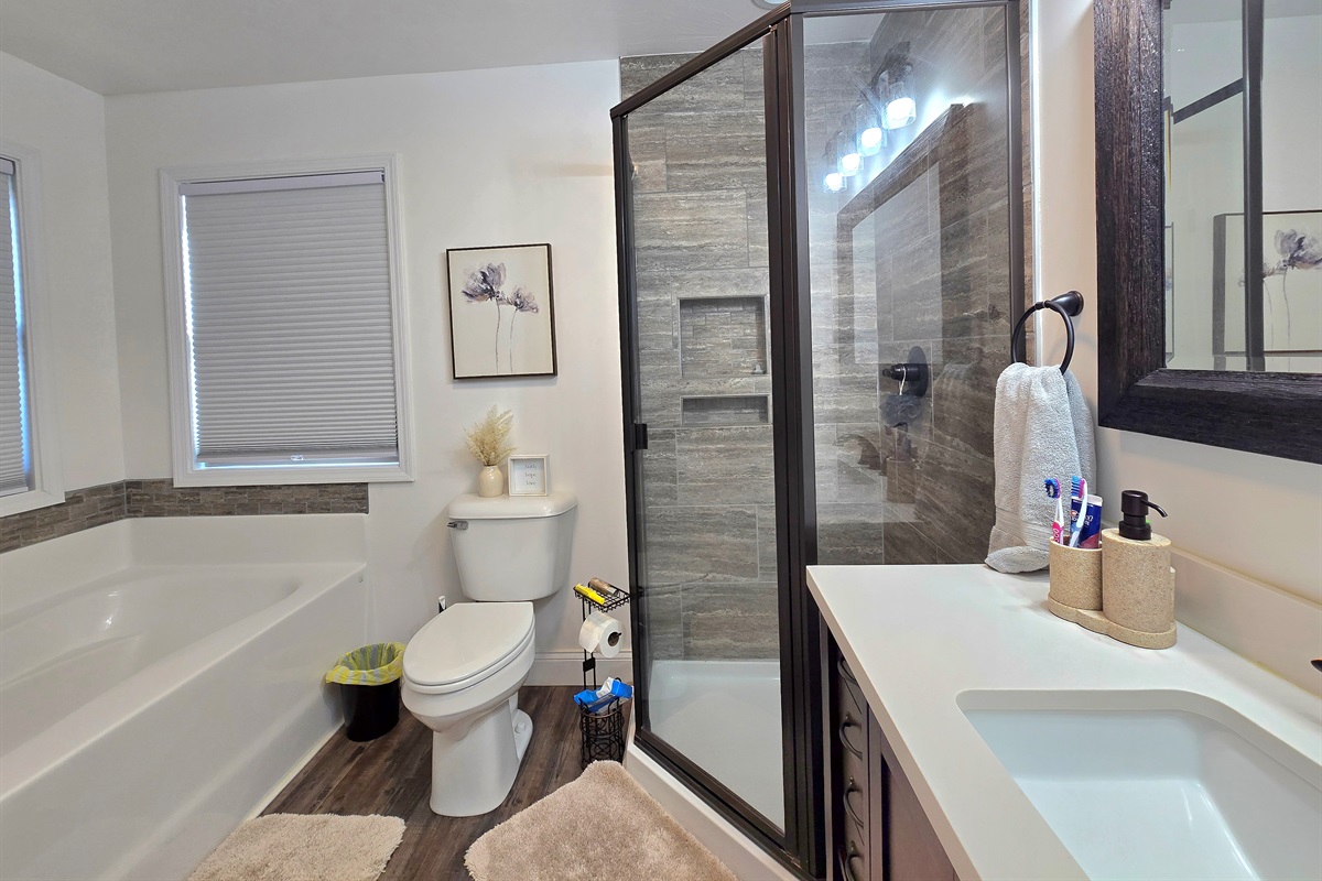 Main Bathroom Tub & Shower