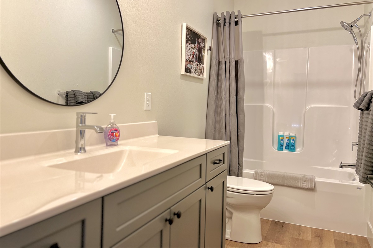 Lower level full bathroom