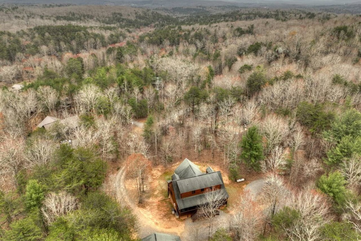 Capture a bird's-eye view of the house from above using a drone