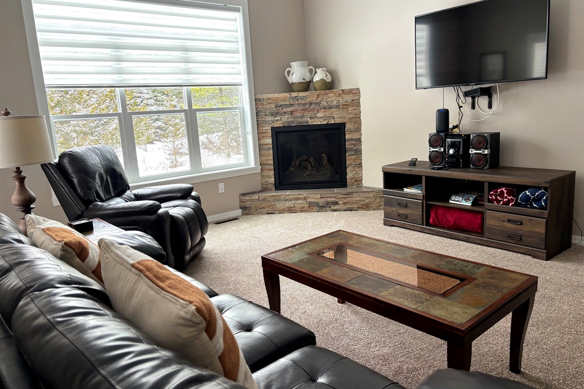 Living room with 46” smart TV and gas fireplace.