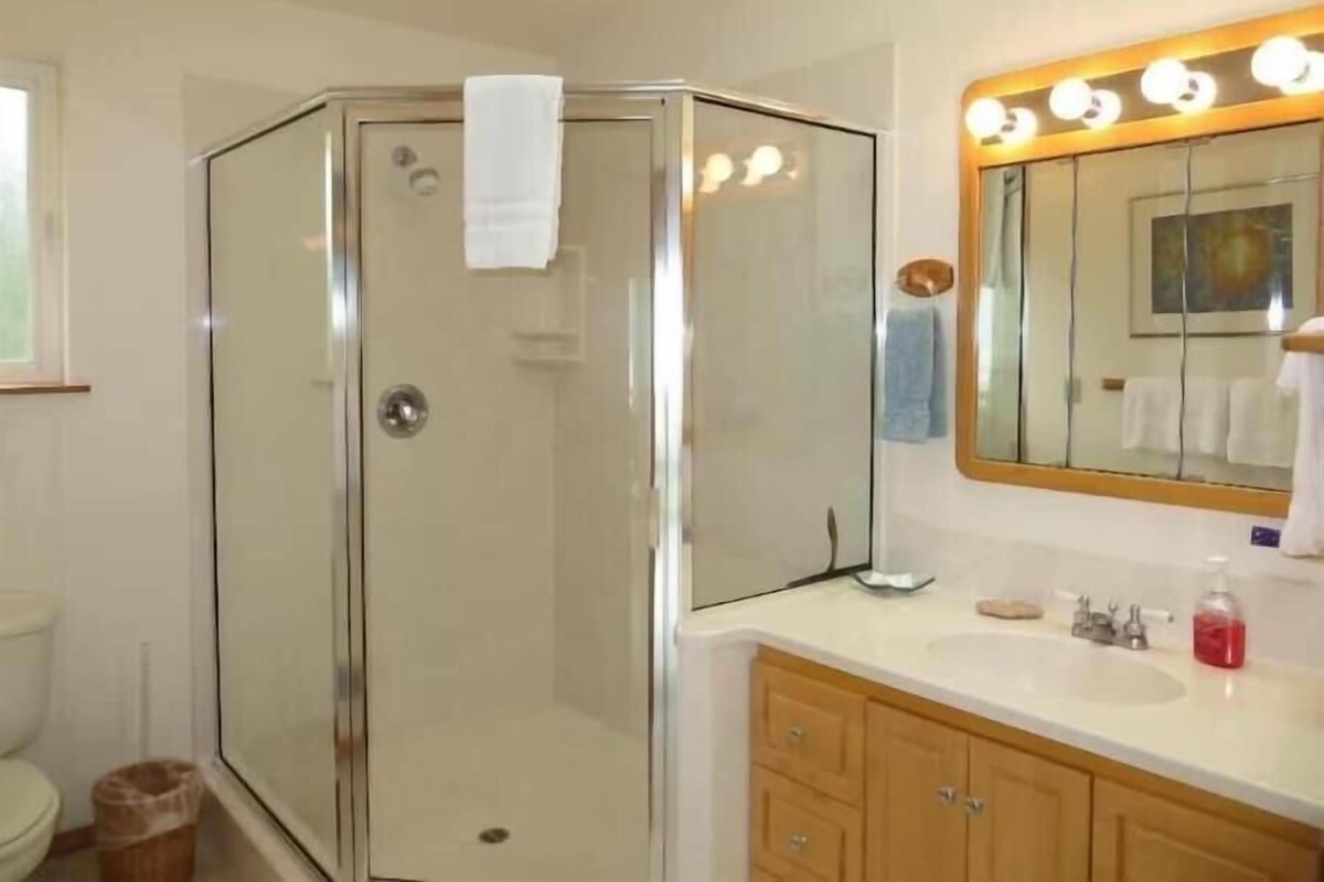 ensuite with step in shower