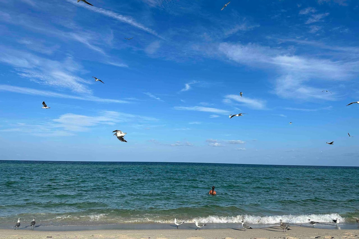 Haulover Beach